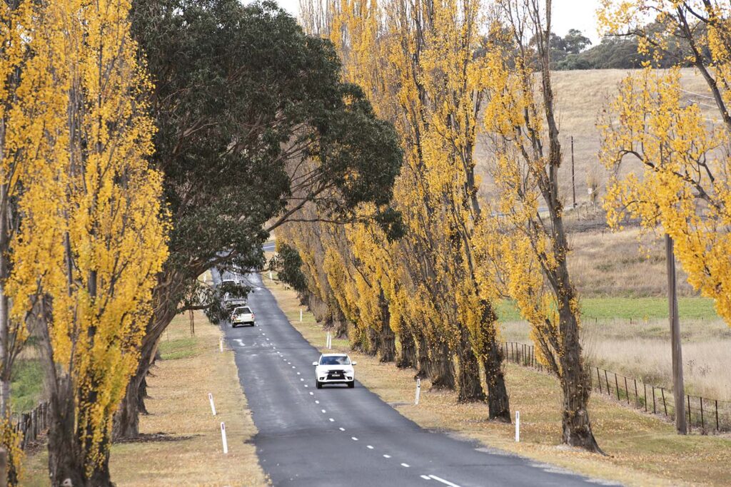 drive to rylstone kandos nsw